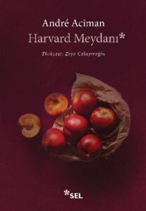 Harvard Meydanı