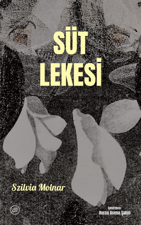 Süt Lekesi