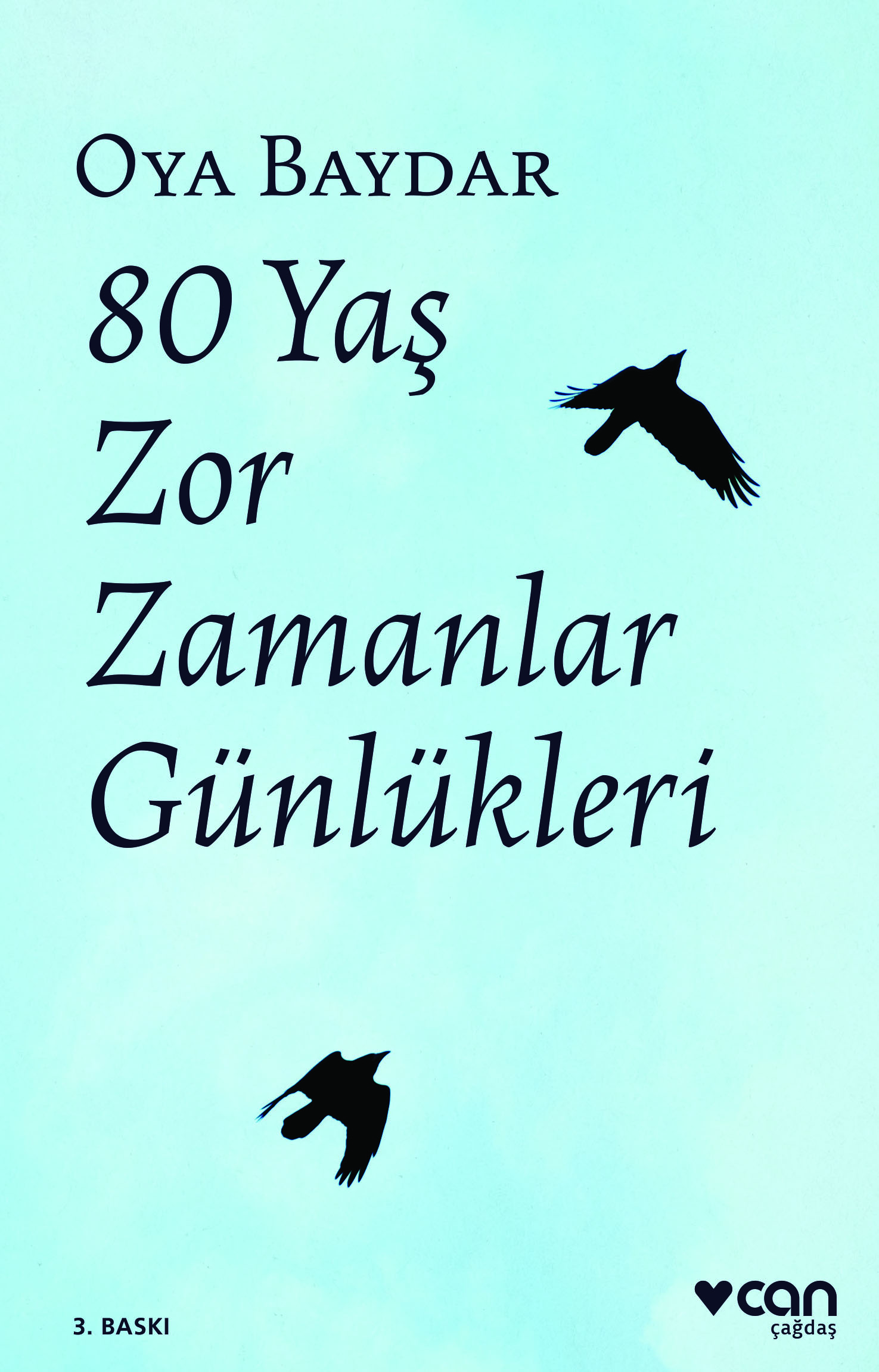 80 Yaş, Zor Zamanlar Günlükleri