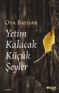 Yetim Kalacak Küçük Şeyler: An’lar Kitabı